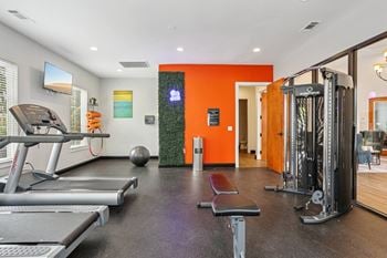 Gym with equipment